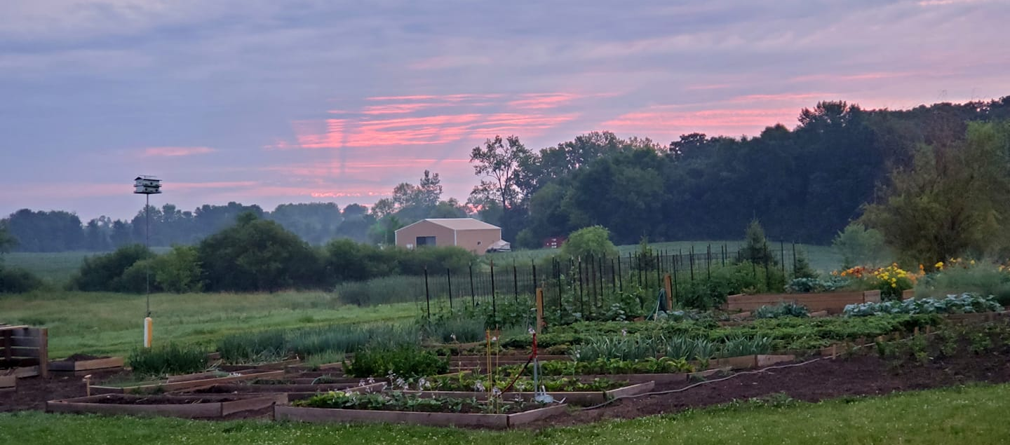 View of our central garden